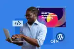 Need Wordpress Developer.
