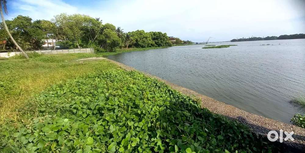 Waterfront land for sale near Palluruthy