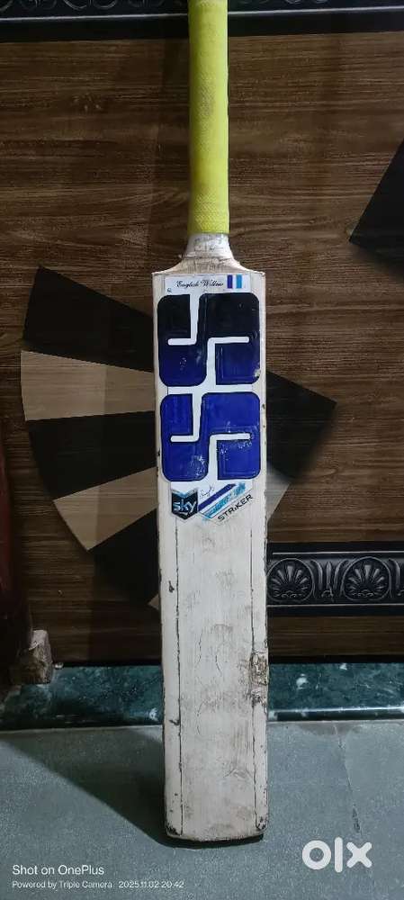 SS cricket bat