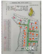 10.5 dec Jamadarpali Pandripali