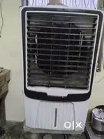 White coolar