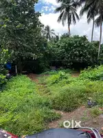 Only 1.5 km from Ottapalam town