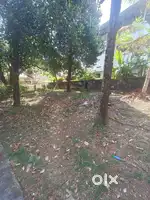 4.600 cent per cent 14 lakhs, maruthankuzhy, kootamvila