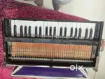 Harmonium Instrument