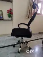 Office chair and study chair