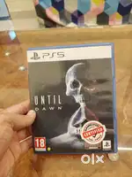 Until Dawn