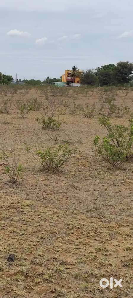 Trichy panjapur busstand near sedhurappati