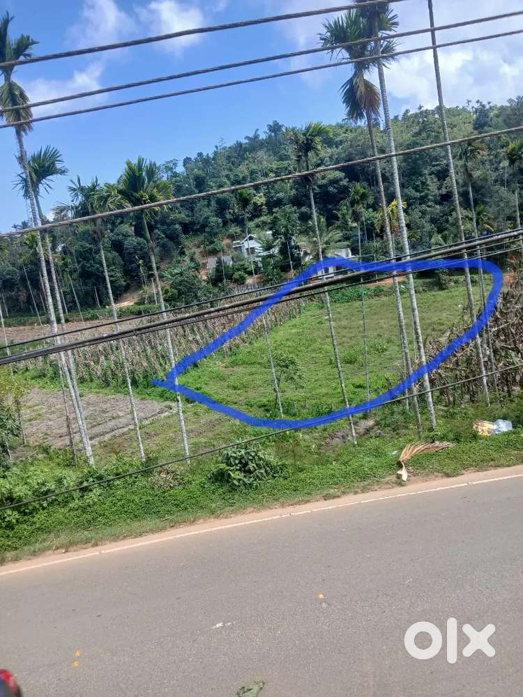 43 സെൻ്റ് 60k മാത്രം centin, 10 സെൻ്റ് 75k
