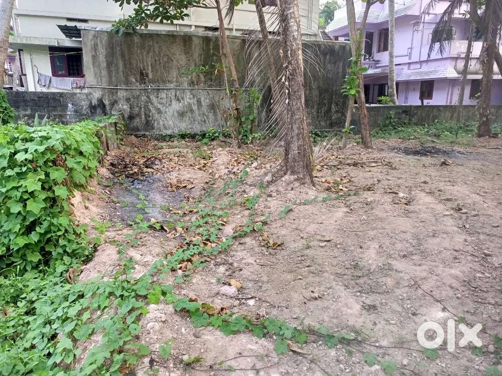 6 ലക്ഷം സെൻ്റിന്- 5 Cent ഇടപ്പള്ളി -ഓട്ടോ വഴി- LULU 1 KM