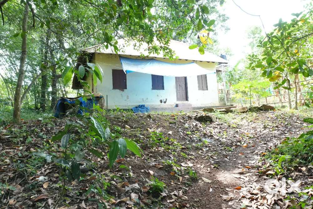 18 Cent Plot for Sale in Malayinkeezhu