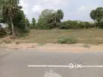 commercial land