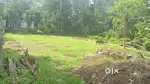 Land selling
