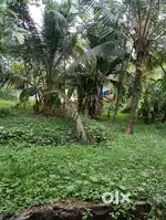 Land for sale kodumon junction back side LP School