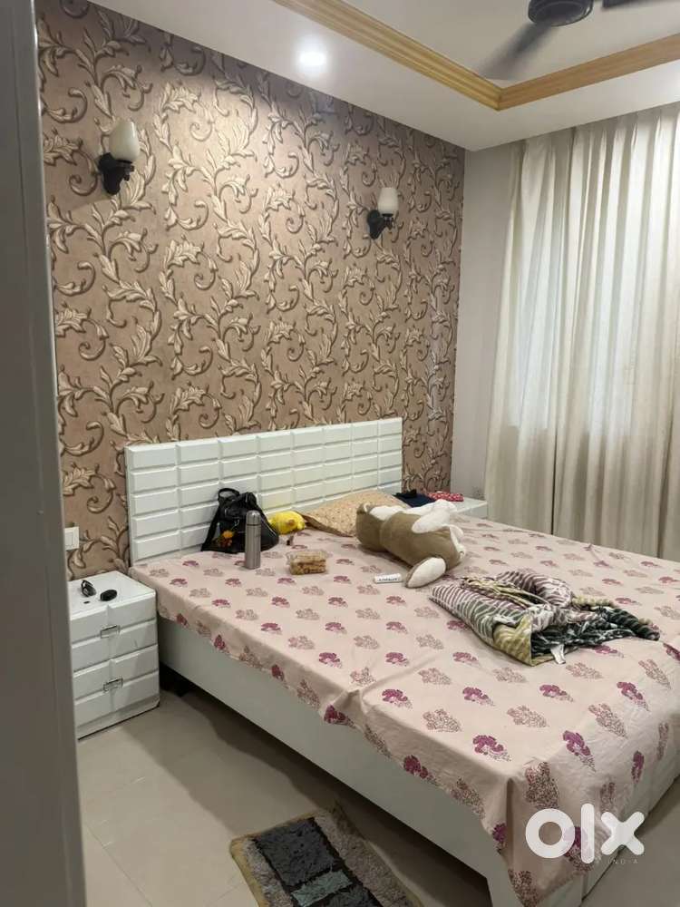 2 bhk furnished flat for Rent in Chandra Panorama Near Lulu Mall Ansal