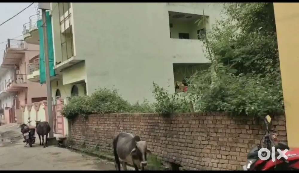 Waidhan to vindhnagar road se laga huaa indrapuri colony me plot le