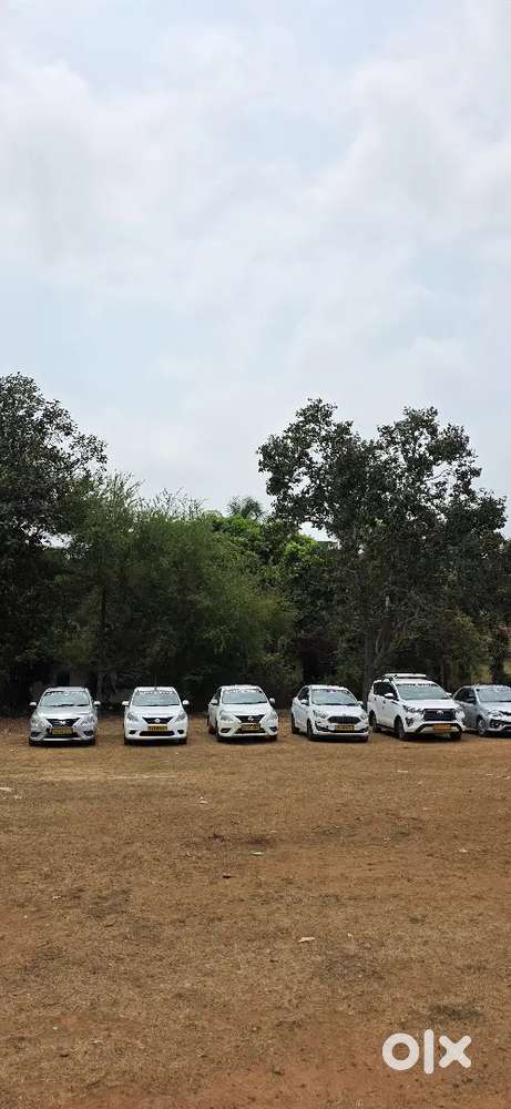 I need a well experience, taxi driver with a valid cab badge