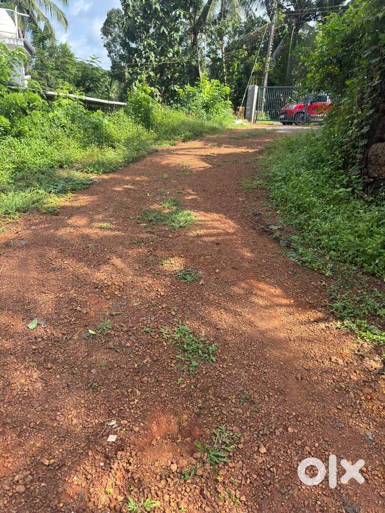 Land or plot for sale