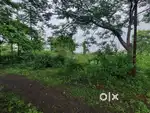 i want to sell my plot at rajul neemkheda