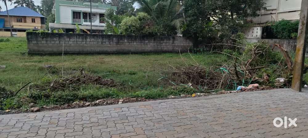 6 cent good residential plot cheranalloor