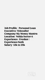 Personal Loan Executive