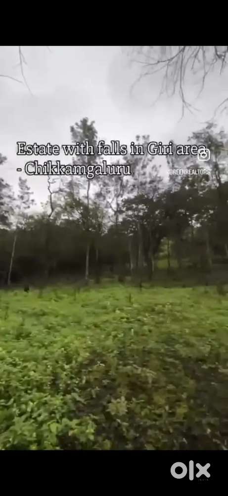 10acres estate with natural waterfalls giri area chikkamagaluru
