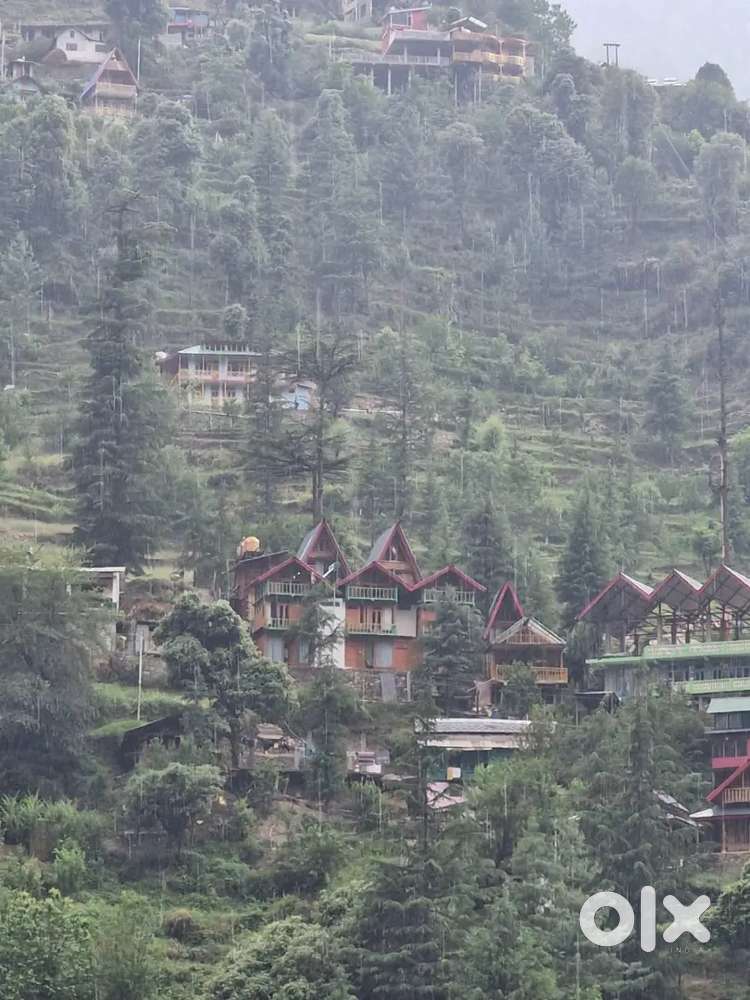 For less one year and 5year years