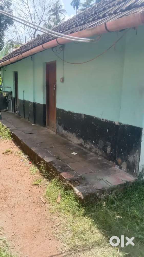 Avinissery house for rent