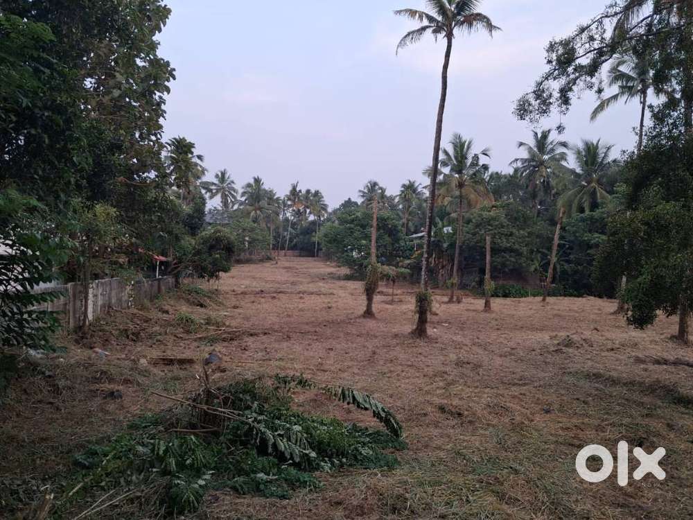 1 Km Kochi- Salem Highway ,  Kerala Agricultural Uni