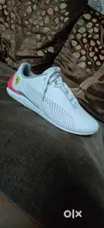 PUMA SHOES FERRARI MOTORSPORT DRIFT CAT (FOR KIDS AGE 9-11 YEARS)