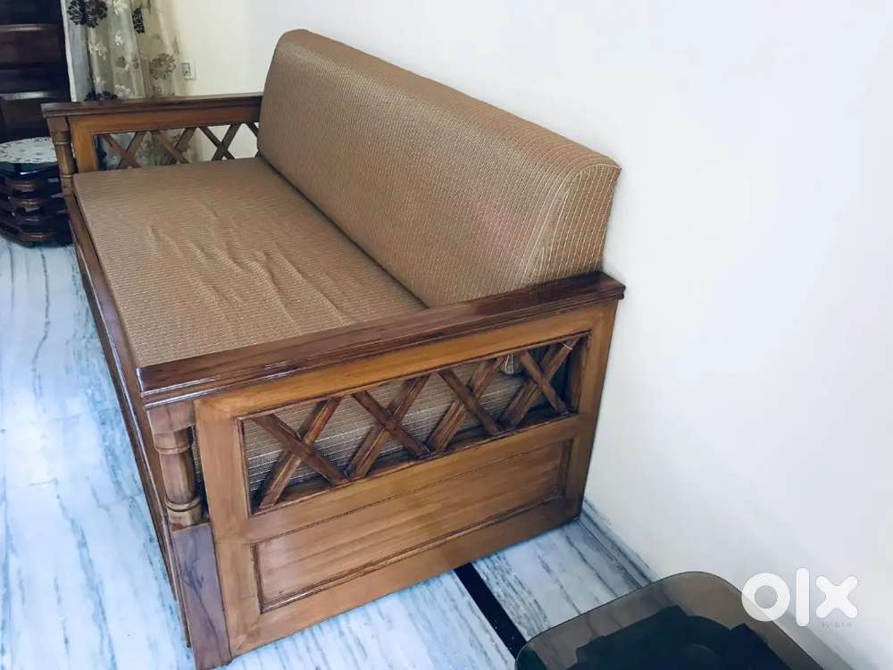 Sofa cum Bed