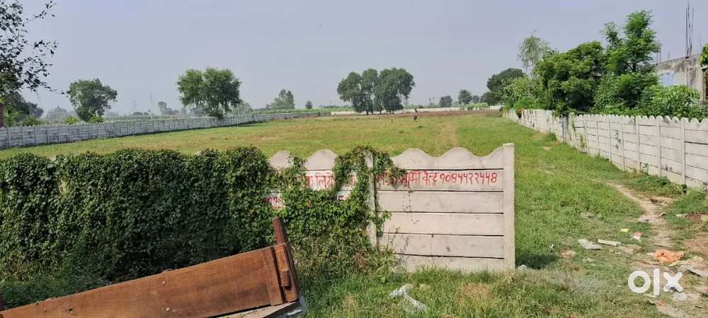 45 bigha land on road 40 lakh bigha (lawar, masuri road per ha)