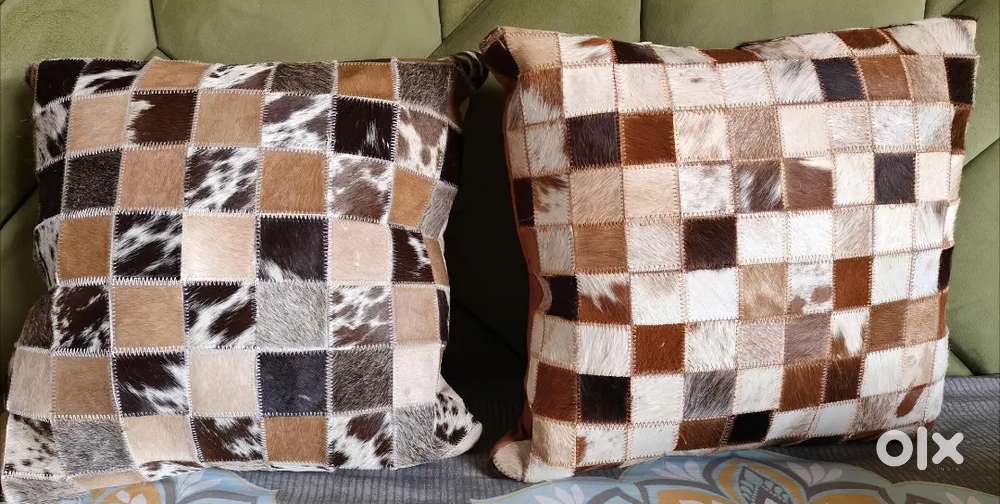 Set of filled Cushions