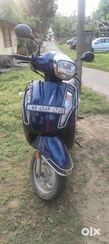 Scotty of 5 years old all papers ok.