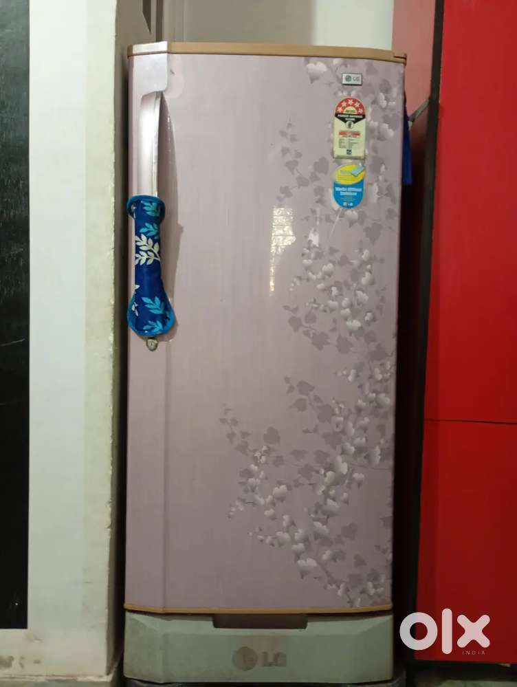 LG 5 Star Rating Fridge