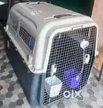Dog / animal cage