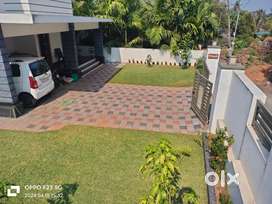 Garden work all grass landscaping