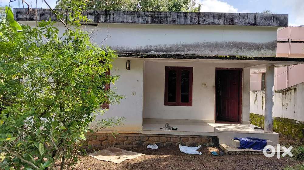 5 cent land and home