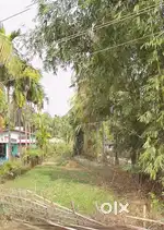 Tezpur Bihaguri Likhak Gaon