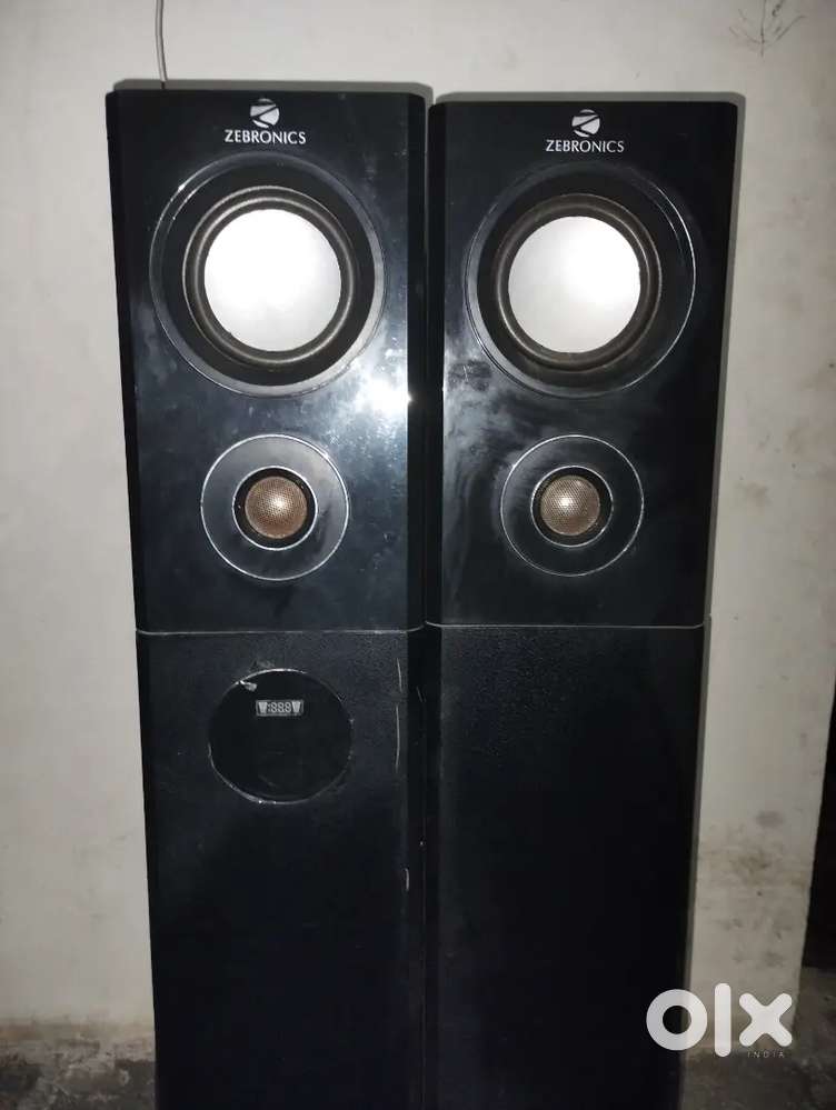 Zebronics speaker with 2 mic