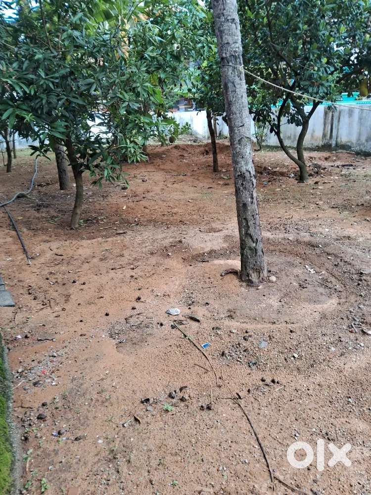 11 Cents Prime Property Near Infosys and kunnil market Kazhakootom.