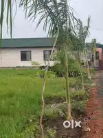Farmhouse for sale in bhopal