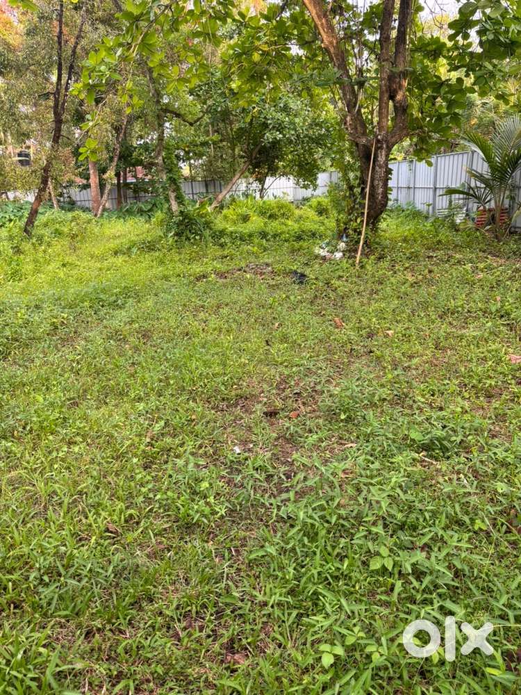 PLOT FOR SALE