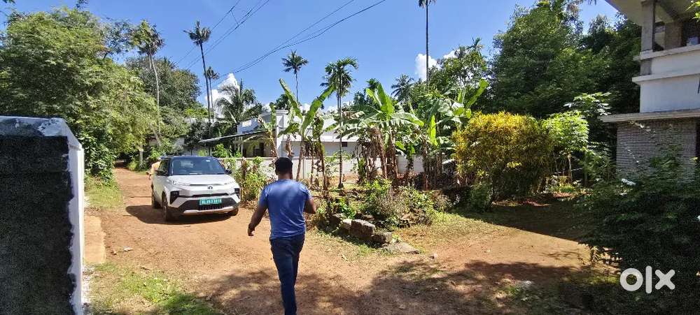 കരുവന്നൂർ തേലപ്പിള്ളിയിൽ 6 സെന്റ് ഹൗസ് പ്ലോട്ട് വില്പനയ്ക്ക്