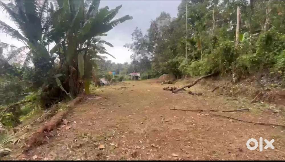 14 Cent plot selling