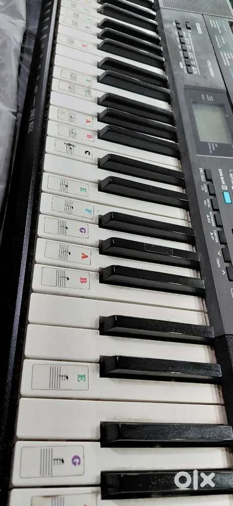 Casio ctk 2550 with adapter and bag