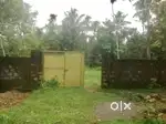 ANGAMALY PULIYANAM 1 ACRE LAND