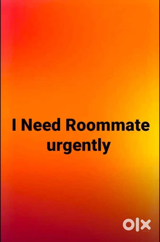 I need a flate mate or roommate