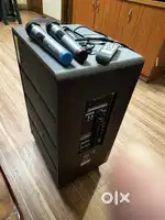 Zebronics 120W Bluetooth double wireless mic