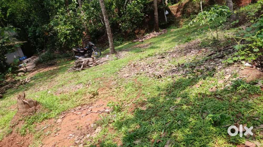 10 cent plot with well near edappal , porookkara