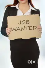 Wanted front office